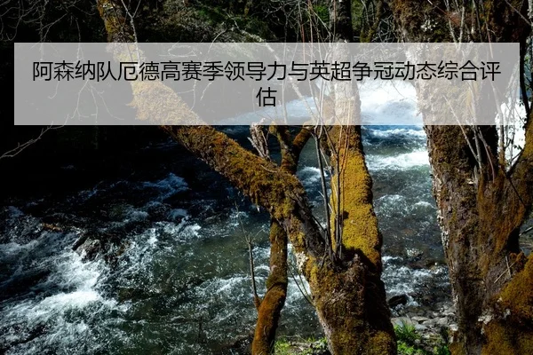 阿森纳队厄德高赛季领导力与英超争冠动态综合评估（jnsports）